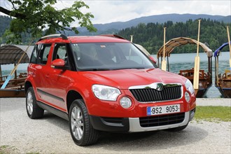 Skoda Yeti 2009. Artist: Simon Clay.