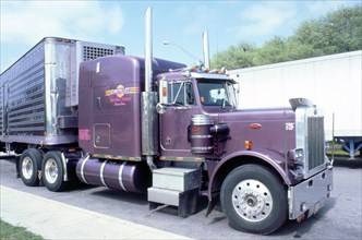 Peterbilt truck. Artist: Unknown.