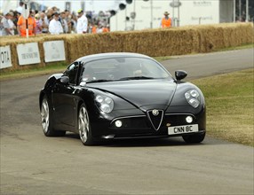 2009 Alfa Romeo Competizione Artist: Unknown.
