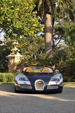 2009 Bugatti Veyron Sang Bleu Artist: Unknown.