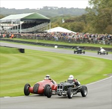 2011 Goodwood Revival Meeting, Goodwood Trophy ERA D type and Alfa Romeo 308c Artist: Unknown.