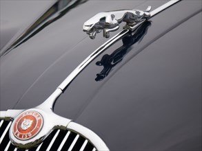 Leaping cat mascot on Jaguar XK150