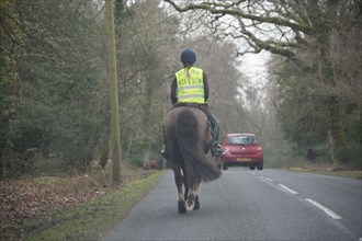 Rider on horseback on country road in New Forest 2014 Artist: Unknown.