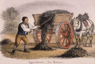'Agriculture, for Manure', c1845. Artist: Benjamin Waterhouse Hawkins