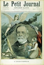 Louis Pasteur, French chemist, 1895. Artist: Unknown