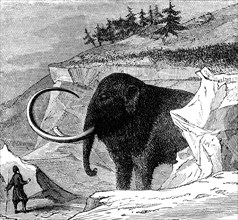 Discovery of a woolly mammoth, 1779 (c1870). Artist: Unknown