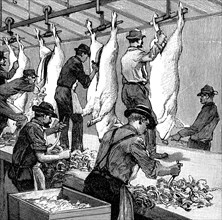 Armour Company's pig slaughterhouse, Chicago, Illinois, USA, 1892. Artist: Unknown