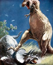 Triceratops, a horned dinosaur, held down by a Tyrannosaur, c1920. Artist: Unknown