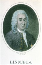 Carolus Linnaeus, 18th century Swedish naturalist, early 19th century. Artist: Unknown