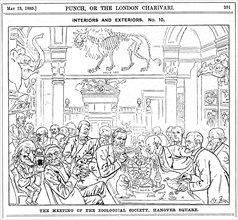 'The Meeting of the (Royal) Zoological Society, Hanover Square', London, 1885. Artist: Harry Furniss