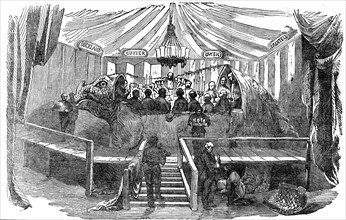 Naturalists dining inside a model of a dinosaur, Crystal Palace, Sydenham, New Year's Eve, 1853. Artist: Unknown