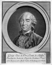 Georges-Louis Leclerc, Comte du Buffon, French naturalist, 1761. Artist: Unknown
