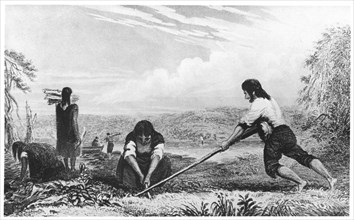Natives of Chiloe, Patagonia, using a breast plough, 1839. Artist: Unknown
