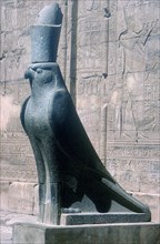 Figure of the god Horus in the form of a falcon, Temple of Horus, Edfu, Egypt, c251BC-c246BC. Artist: Unknown