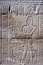 Relief of Hapi (Hapy) god of the Nile in Flood, Temple of Khnum, Ptolemaic & Roman Periods. Artist: Unknown