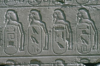 Reliefs showing cartouches of names of captive Near Eastern cities, Temple of Amun, Karnak, Egypt. Artist: Unknown