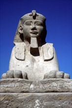 Frontal view of sphinx from the avenue of Sphinxes, Temple sacred to Amun Mut & Khons, Luxor, Egypt. Artist: Unknown