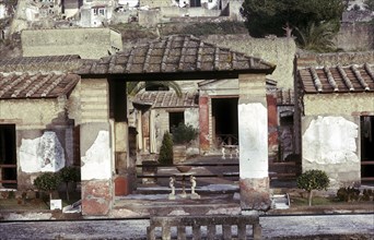 The House of the Stags, Herculaneum, Italy. Artist: Unknown