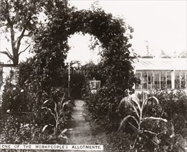 One of the workpeoples allotments, York, Yorkshire, 1910. Artist: Unknown