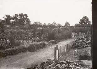 Allotments, Haxby Road, York, Yorkshire,1900. Artist: Unknown