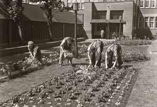 Gardeners planting a bedding display at the Rowntree factory, York, Yorkshire, 1955. Artist: Unknown