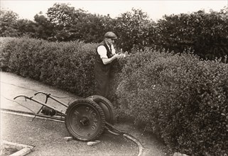 A gardener clips a privet hedge, Rowntree factory, York, Yorkshire, 1955. Artist: Unknown