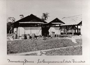 Fermenting houses, La Compensacions Estate, Trinidad, 1897. Artist: Unknown