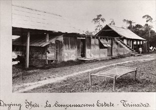 Drying sheds for cocoa, La Compensacions Estate, Trinidad, 1897. Artist: Unknown