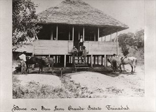Thatched house on stilts, San Leon Grande Estate, Trinidad, 1897. Artist: Unknown