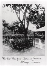 St George?s Botanical Gardens, Grenada, 1897. Artist: Unknown