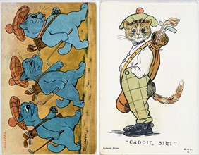 Cats with a golfing theme, c1910. Artist: Unknown