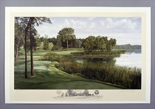 16th hole, Hazeltine National Golf Club, Chaska, Minnesota, USA, 1991. Artist: Linda Hartough