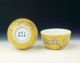 Pair of yellow ground famille rose cups, Late Qing dynasty, 19th-early 20th century. Artist: Unknown
