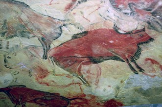 A paleolithic cave painting of Aurochs.