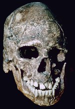 Paleolithic Skull of 'Grimaldi man', his species unknown. Artist: Unknown