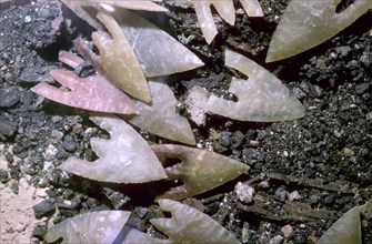 Neolithic flint arrowheads. Artist: Unknown