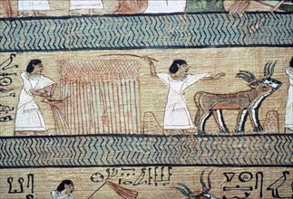 Detail from the Book of the Dead showing the Elysian Fields. Artist: Unknown