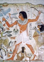 Egyptian wall-painting of fowling. Artist: Unknown