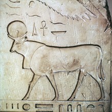 Egyptian relief of the bull-god Apis. Artist: Unknown