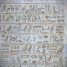 Detail of Egyptian hieroglyphs from a sepulchral stela. Artist: Unknown