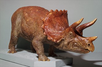 Triceratops model. Artist: Unknown