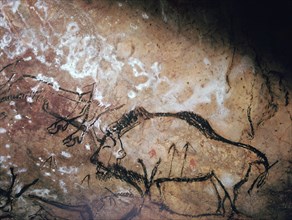 Neolithic cave-painting of a wounded bison. Artist: Unknown