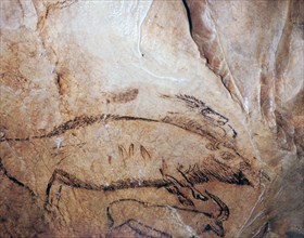 Paleolithic cave-painting of a bison and ibex. Artist: Unknown