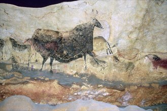 La Scaux cave painting of Aurochs. Artist: Unknown