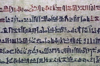 Hieratic Egyptian script from the Book of the Dead. Artist: Unknown