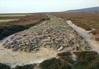 Roman road over Wheeldale Moor. Artist: Unknown