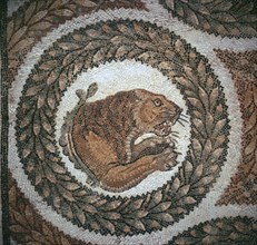 Detail of a Roman mosaic showing the head of a lion, 4th century. Artist: Unknown