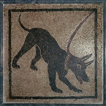 Roman mosaic of a dog, 1st century.  Creator: Unknown.