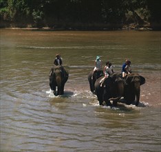 Elephant cooling off in a river. Artist: CM Dixon Artist: Unknown