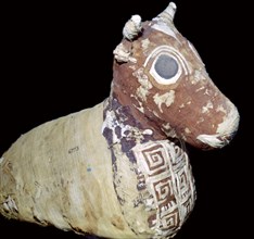 Mummified bull, from Thebes, Egypt, Roman Period, after 30 BC. Artist: Unknown